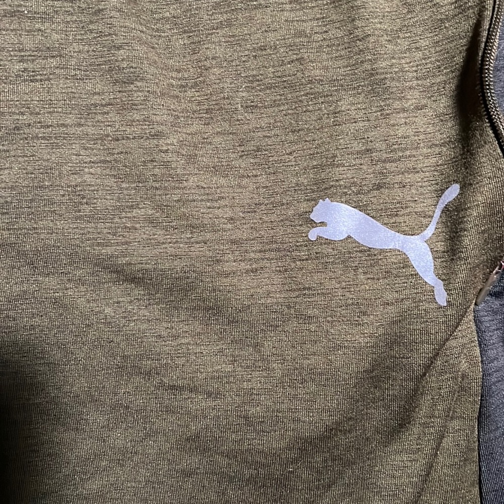 Puma